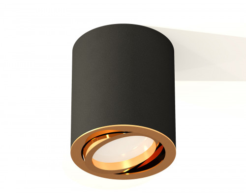 Дополнительное фото Светильник потолочный Ambrella Light Techno Spot XS7422003 (C7422, N7004): Купить в Интернет магазин освещения GCSVET.RU