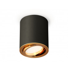Светильник потолочный Ambrella Light Techno Spot XS7422003 (C7422, N7004)