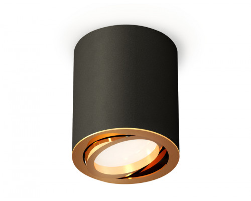 Основное фото Светильник потолочный Ambrella Light Techno Spot XS7422003 (C7422, N7004): Купить в Интернет магазин освещения GCSVET.RU