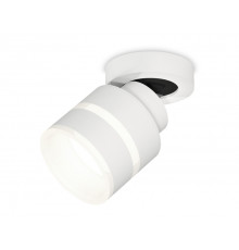 Светильник спот Ambrella Light Techno Spot XM8101024 (A2228, A2105, C8101, N8444)