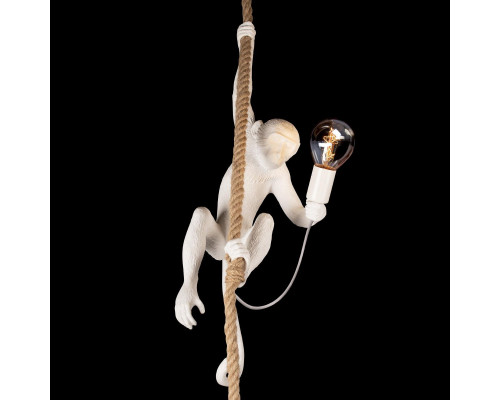 Дополнительное фото Светильник подвесной Loft IT Monkey 10314P: Купить в Интернет магазин освещения GCSVET.RU