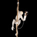 Дополнительное фото Светильник подвесной Loft IT Monkey 10314P: Купить в Интернет магазин освещения GCSVET.RU