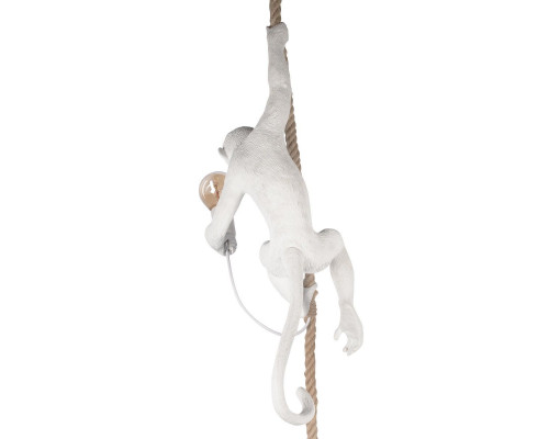 Дополнительное фото Светильник подвесной Loft IT Monkey 10314P: Купить в Интернет магазин освещения GCSVET.RU