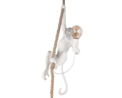 Дополнительное фото Светильник подвесной Loft IT Monkey 10314P: Купить в Интернет магазин освещения GCSVET.RU