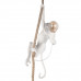 Дополнительное фото Светильник подвесной Loft IT Monkey 10314P: Купить в Интернет магазин освещения GCSVET.RU