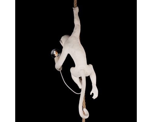 Дополнительное фото Светильник подвесной Loft IT Monkey 10314P: Купить в Интернет магазин освещения GCSVET.RU