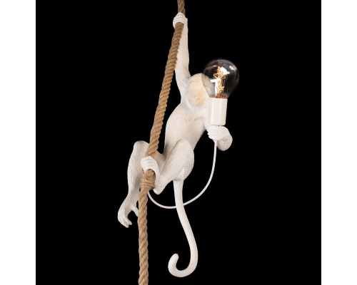 Дополнительное фото Светильник подвесной Loft IT Monkey 10314P: Купить в Интернет магазин освещения GCSVET.RU