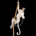 Дополнительное фото Светильник подвесной Loft IT Monkey 10314P: Купить в Интернет магазин освещения GCSVET.RU