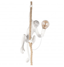 Светильник подвесной Loft IT Monkey 10314P