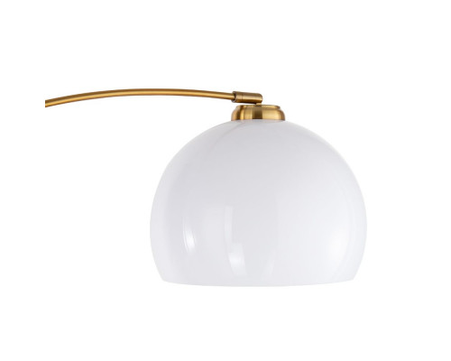 Дополнительное фото Напольный светильник Arte Lamp Paolo A5822PN-1PB: Купить в Интернет магазин освещения GCSVET.RU