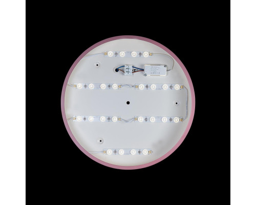 Дополнительное фото Светильник потолочный Loft IT AXEL 10002/24 Pink: Купить в Интернет магазин освещения GCSVET.RU