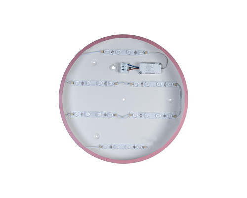 Дополнительное фото Светильник потолочный Loft IT AXEL 10002/24 Pink: Купить в Интернет магазин освещения GCSVET.RU