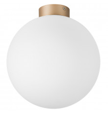 Светильник потолочный Lightstar Globo 812033