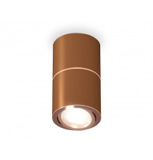 Светильник потолочный Ambrella Light Techno Spot XS7404080 (C7404, A2073, C7404, N7005)