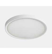 Светильник потолочный Italline IT011-5024 white