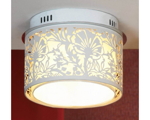 Дополнительное фото Светильник потолочный Lussole Vetere GRLSF-2307-04: Купить в Интернет магазин освещения GCSVET.RU