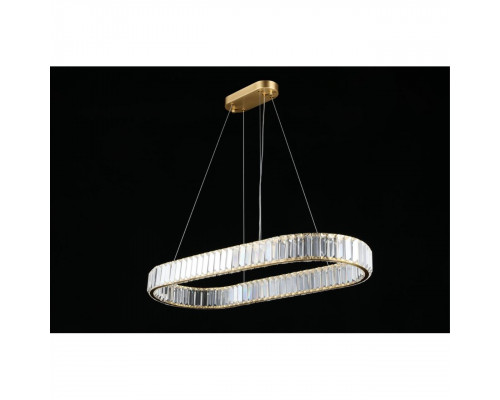 Дополнительное фото Люстра подвесная LED Aployt Nicoletta APL.026.03.70: Купить в Интернет магазин освещения GCSVET.RU