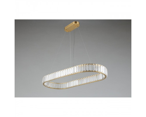 Дополнительное фото Люстра подвесная LED Aployt Nicoletta APL.026.03.70: Купить в Интернет магазин освещения GCSVET.RU