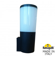 Светильник настенный для улицы Fumagalli DR2.570.000.AYF1R