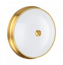 Светильник потолочный Odeon Light 4824/4C