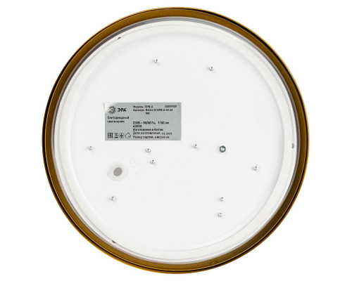 Дополнительное фото Светильник потолочный Эра Relict 22 SPB-6-20 4К MG Б0059509: Купить в Интернет магазин освещения GCSVET.RU