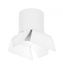 Светильник накладной Lightstar Rullo (213486+202486) R3486486