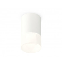 Светильник потолочный Ambrella Light Techno Spot XS7421025 (C7421, N7170)