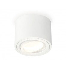 Светильник потолочный Ambrella Light Techno Spot XS7510001 (C7510, N7001)
