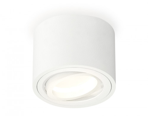 Основное фото Светильник потолочный Ambrella Light Techno Spot XS7510001 (C7510, N7001): Купить в Интернет магазин освещения GCSVET.RU