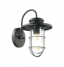 Светильник настенный для улицы Odeon Light Helm 4171/1W