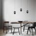 Дополнительное фото Светильник подвесной Loft IT Viterbo 10336 Black: Купить в Интернет магазин освещения GCSVET.RU
