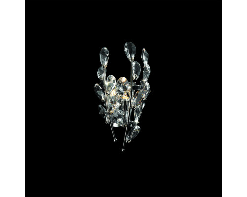 Основное фото Настенный светильник Lightstar Isabelle 791614: Купить в Интернет магазин освещения GCSVET.RU