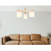 Дополнительное фото Люстра потолочная Ambrella Light Loft TR83115: Купить в Интернет магазин освещения GCSVET.RU