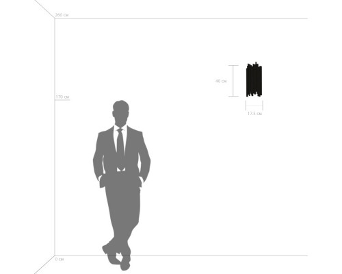 Дополнительное фото Настенный светильник Lightstar 816622: Купить в Интернет магазин освещения GCSVET.RU