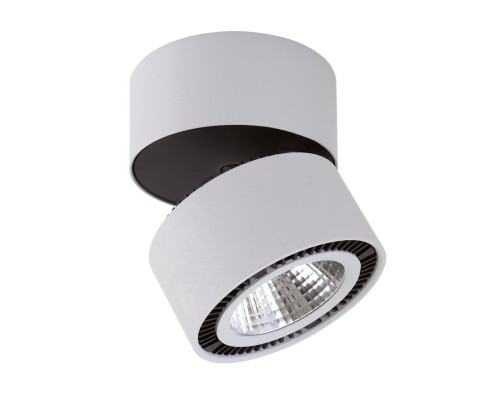 Основное фото Светильник потолочный LED Lightstar Forte Muro 213830: Купить в Интернет магазин освещения GCSVET.RU