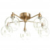 Дополнительное фото Люстра потолочная Arte Lamp 56 A8564PL-5RB: Купить в Интернет магазин освещения GCSVET.RU