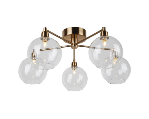 Основное фото Люстра потолочная Arte Lamp 56 A8564PL-5RB: Купить в Интернет магазин освещения GCSVET.RU