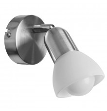 Светильник спот Arte Lamp A3115AP-1SS