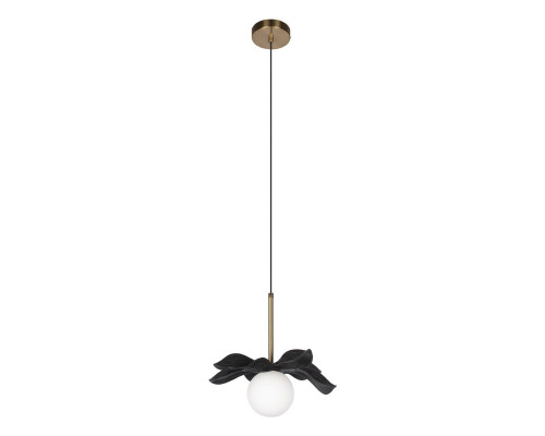Основное фото Светильник подвесной Loft IT Monro 10213/A Black: Купить в Интернет магазин освещения GCSVET.RU