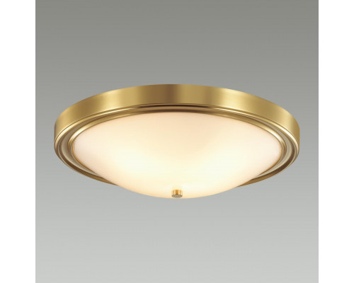 Дополнительное фото Настенно-Светильник потолочный Lumion Vintage 5259/4C: Купить в Интернет магазин освещения GCSVET.RU