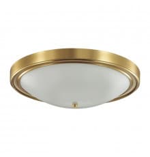 Настенно-Светильник потолочный Lumion Vintage 5259/4C