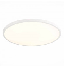 Настенно-Светильник потолочный ST Luce ST601.532.48