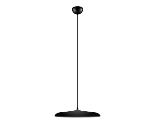 Основное фото Светильник подвесной Loft IT Plato 10119 Black: Купить в Интернет магазин освещения GCSVET.RU