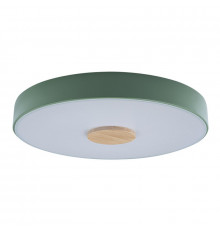 Светильник потолочный Loft IT AXEL 10003/24 Green
