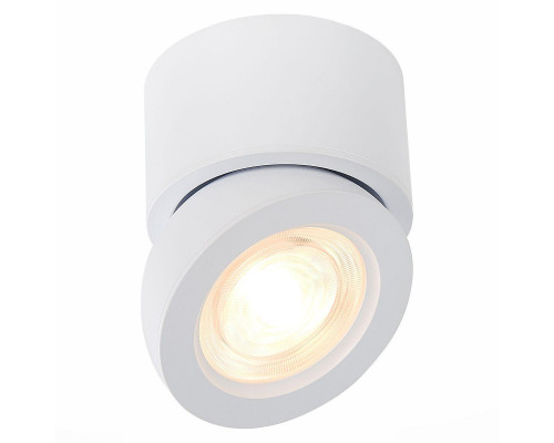 Дополнительное фото Светодиодный Светильник спот ST Luce ST654.542.10: Купить в Интернет магазин освещения GCSVET.RU