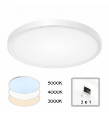 Светильник накладной Citilux CL738320V
