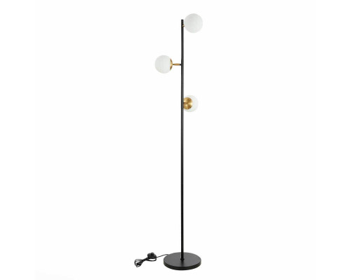 Дополнительное фото Напольный светильник Evoluce Forli SLE220405-03: Купить в Интернет магазин освещения GCSVET.RU