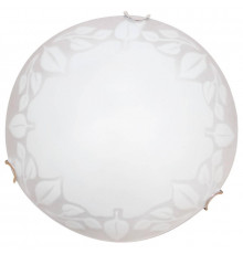 Светильник настенный Arte Lamp Leaves A4020PL-2CC