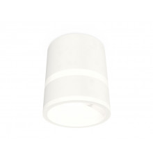 Светильник потолочный Ambrella Light Techno Spot XS8110005 (C8110, N8444)