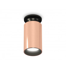 Светильник потолочный Ambrella Light Techno Spot XS6326101 (N6902, C6326, N6111)